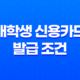 대학생 신용카드 발급 조건 쉬운 곳! 정보와 팁 알려드립니다 13