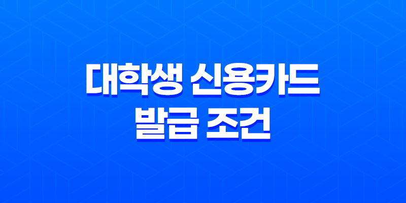 대학생 신용카드 발급 조건 쉬운 곳! 정보와 팁 알려드립니다 8 대학생 신용카드 발급 조건 쉬운 곳! 정보와 팁 알려드립니다 7