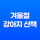 겨울철 강아지 산책 시 주의해야 할 염화칼슘의 위험성 23