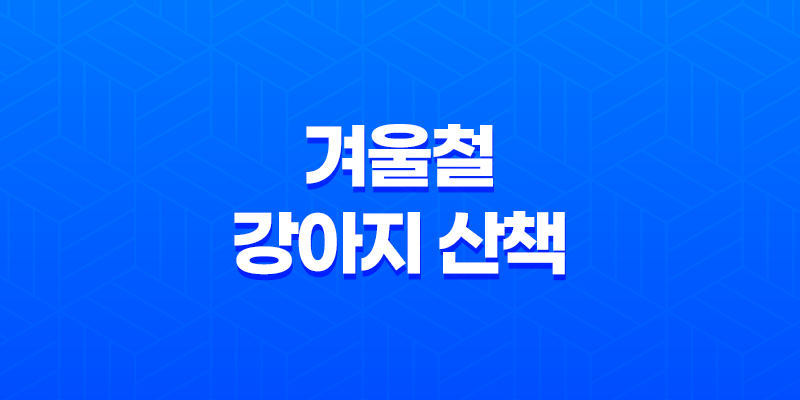 겨울철 강아지 산책 시 주의해야 할 염화칼슘의 위험성 8 겨울철 강아지 산책 시 주의해야 할 염화칼슘의 위험성 7