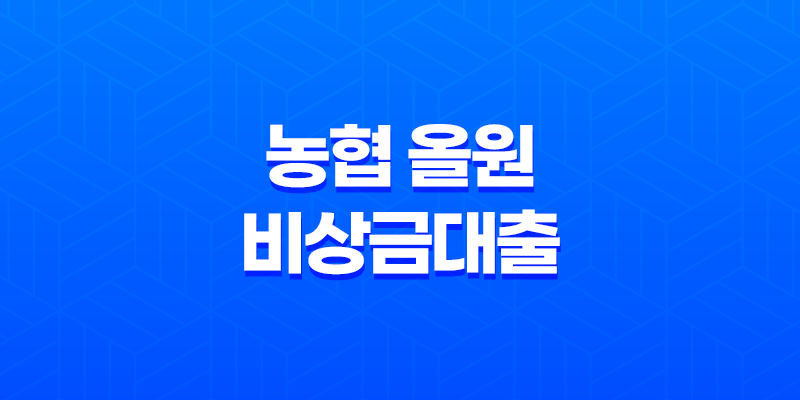 농협 올원 비상금대출 조건 금리 한도 총정리 (ft. 무직자, 주부도 가능할까?) 8 농협 올원 비상금대출 조건 금리 한도 총정리 (ft. 무직자, 주부도 가능할까?) 7