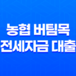 농협 버팀목 전세자금 대출 신청 자격 조건 금리 한도 11
