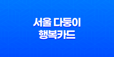 서울 다둥이 행복카드, 다자녀 가정을 위한 축복의 선물 9