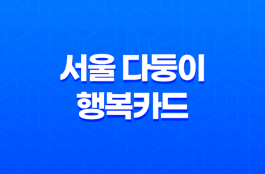 서울 다둥이 행복카드, 다자녀 가정을 위한 축복의 선물 13