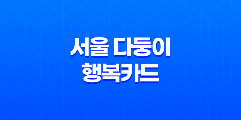 서울 다둥이 행복카드, 다자녀 가정을 위한 축복의 선물 8 서울 다둥이 행복카드, 다자녀 가정을 위한 축복의 선물 7