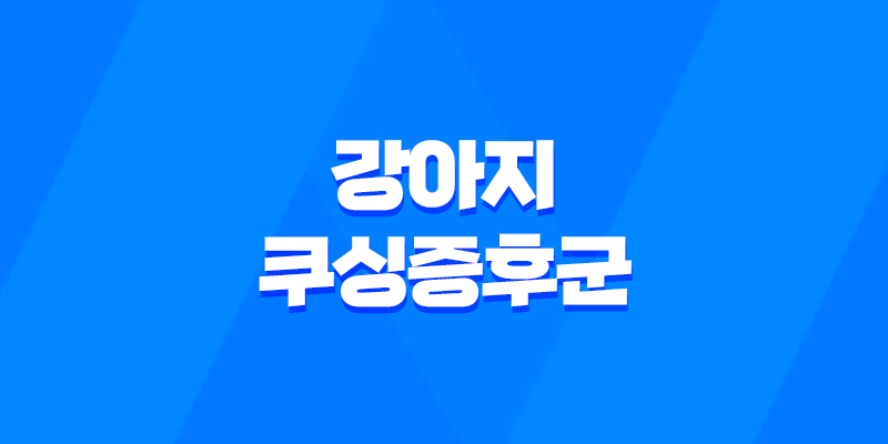 강아지 쿠싱증후군 증상, 합병증, 치료 방법 전문 안내 7