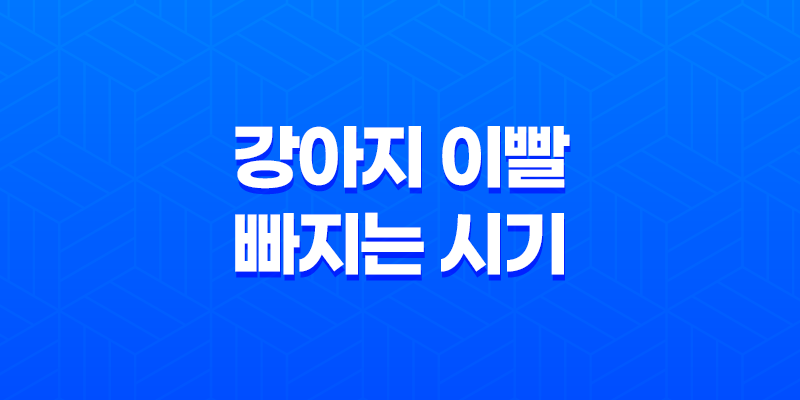 강아지 이빨 빠지는 시기와 순서, 그리고 대처 방법 8 강아지 이빨 빠지는 시기와 순서, 그리고 대처 방법 7