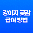 강아지 곶감 급여하는 방법 및 주의 사항 23