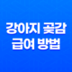 강아지 곶감 급여하는 방법 및 주의 사항 33