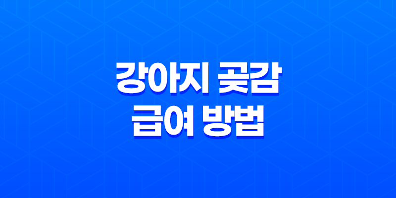 강아지 곶감 급여하는 방법 및 주의 사항 7
