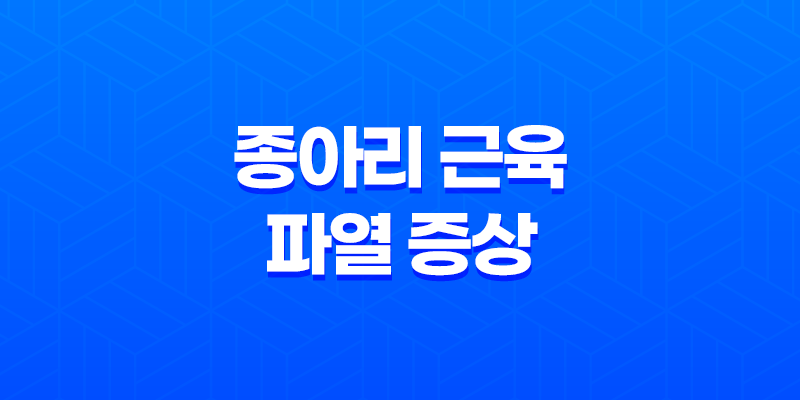종아리 근육 파열 증상, 원인 및 효과적인 대응 전략 8 종아리 근육 파열 증상, 원인 및 효과적인 대응 전략 7