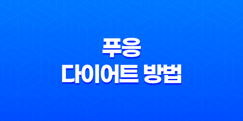 다이어트를 위한 푸응 다이어트 방법 8 다이어트를 위한 푸응 다이어트 방법 7