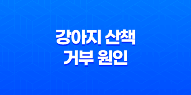 강아지 산책 거부 원인과 효과적인 대처법 35