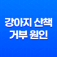 강아지 산책 거부 원인과 효과적인 대처법 15