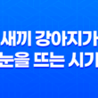 새끼 강아지가 눈을 뜨는 시기와 성장 과정 17