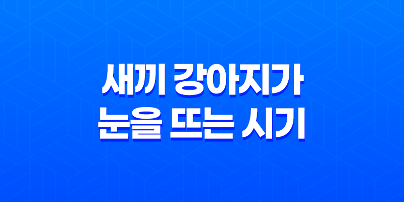 새끼 강아지가 눈을 뜨는 시기와 성장 과정 8 새끼 강아지가 눈을 뜨는 시기와 성장 과정 7