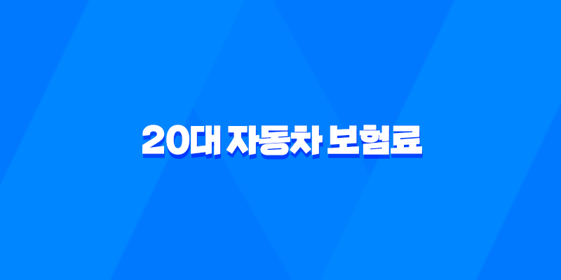 20대 자동차 보험료와 절약 방법 8 20대 자동차 보험료와 절약 방법 7