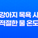 강아지 목욕 시 적절한 물 온도와 목욕 방법 25