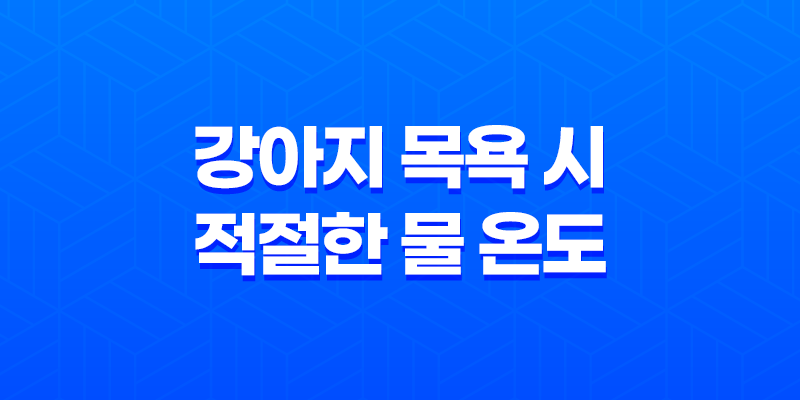 강아지 목욕 시 적절한 물 온도와 목욕 방법 8 강아지 목욕 시 적절한 물 온도와 목욕 방법 7