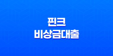 핀크 비상금대출 한눈에 보기 - 조건, 신청 방법, 후기 및 똑똑대출 비교 35