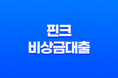 핀크 비상금대출 한눈에 보기 - 조건, 신청 방법, 후기 및 똑똑대출 비교 27