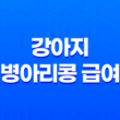 강아지 병아리콩 급여 방법 및 효능 17