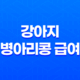 강아지 병아리콩 급여 방법 및 효능 17