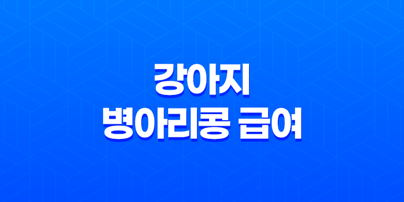 강아지 병아리콩 급여 방법 및 효능 7