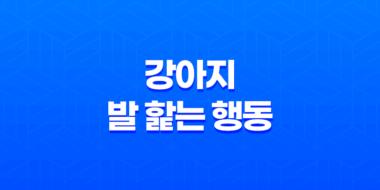 발 핥는 행동, 강아지가 발을 왜 핥는가? 이유와 해결방법을 알아보자! 51