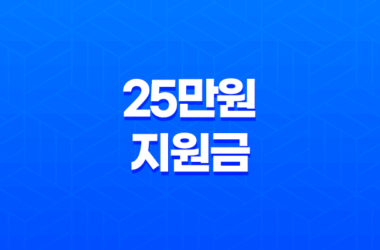 25만원 지원금 2025년 최신 정보 총정리 23