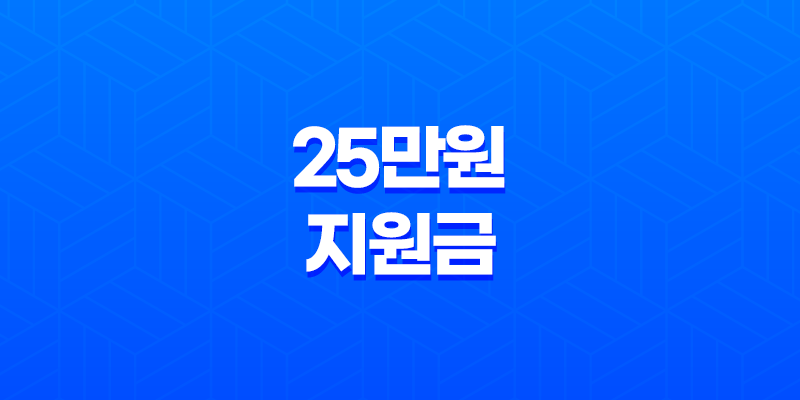 25만원 지원금 2025년 최신 정보 총정리 8 25만원 지원금 2025년 최신 정보 총정리 7