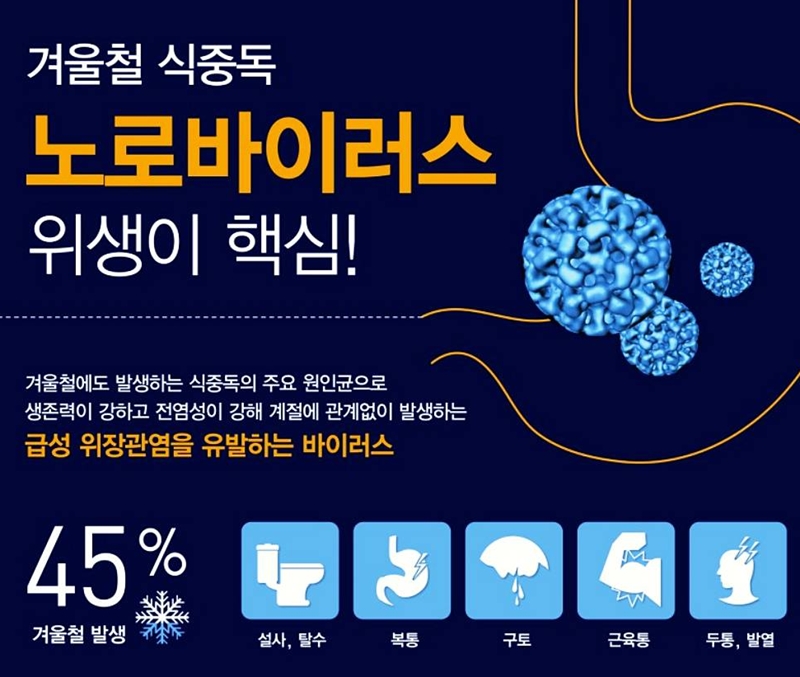 노로바이러스 감염 경로와 예방 방법