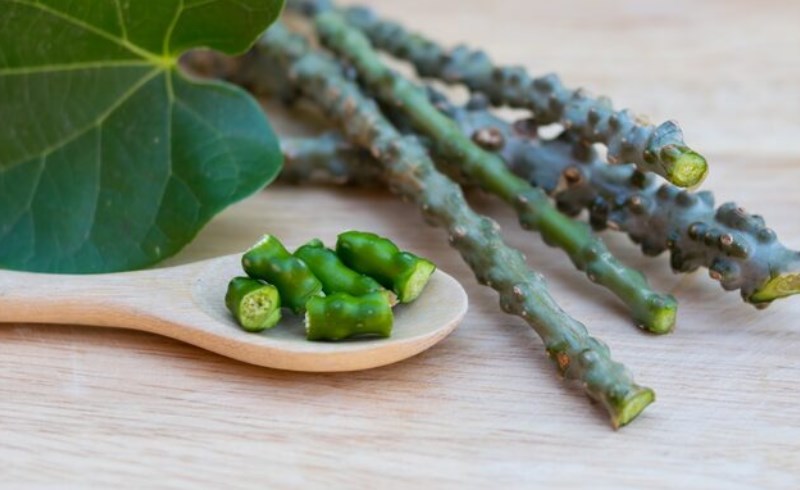 두릅의 매력과 효능