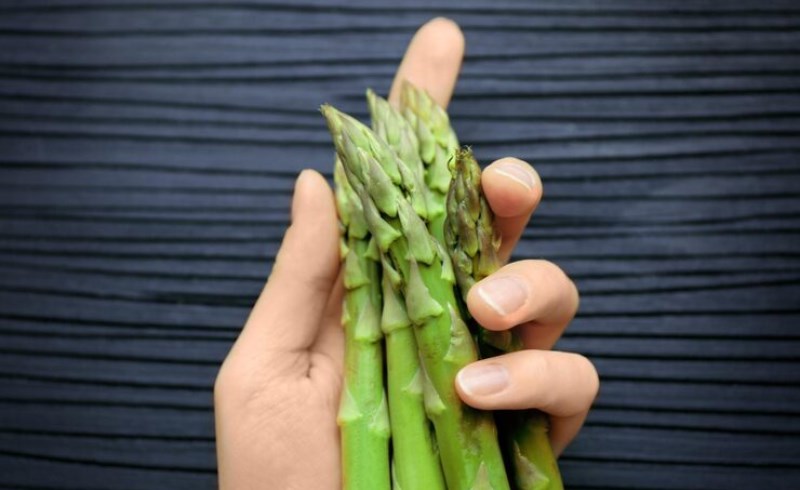 두릅의 매력과 효능 9 두릅을 섭취하는 방법