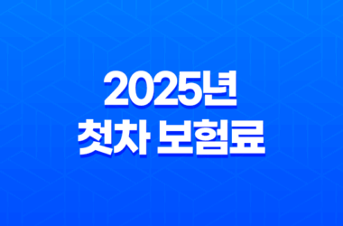 2025년 첫차 보험료 완전 정복 : 20대, 30대, 중고차, 계산, 평균, 디시 후기 총정리 19
