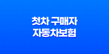 첫차 구매자를 위한 자동차보험 가이드 - 꼭 알아야 할 5가지 29
