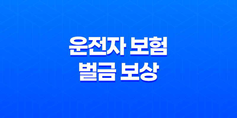 운전자 보험 벌금 보상 핵심 정리 7가지 8 운전자 보험 벌금 보상 핵심 정리 7가지 7