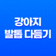 강아지 발톱 다듬기(+ 단계별) 13