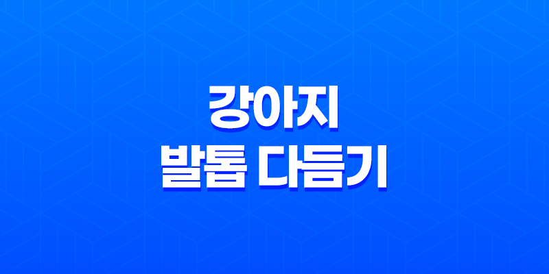 강아지 발톱 다듬기(+ 단계별) 8 강아지 발톱 다듬기(+ 단계별) 7