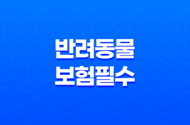 2025년 최신 정보 - 반려동물 보험 필수가 되어야 할까? 27