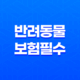 2025년 최신 정보 - 반려동물 보험 필수가 되어야 할까? 33