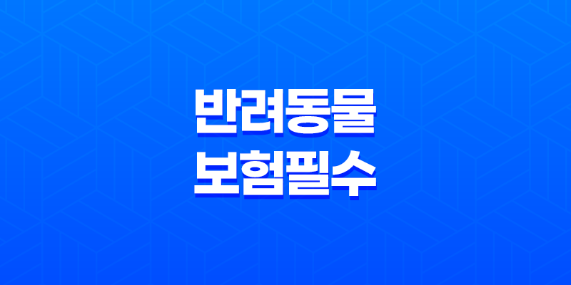 2025년 최신 정보 - 반려동물 보험 필수가 되어야 할까? 7