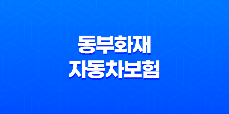 동부화재 자동차보험 가입 갱신 방법 보장내용 청구서류 DB손해보험 8 동부화재 자동차보험 가입 갱신 방법 보장내용 청구서류 DB손해보험 7