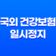 국외 건강보험 일시정지 신청 방법과 주의사항 37