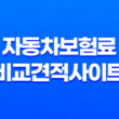 자동차보험료 비교견적사이트로 쉽게 비교해보자! 13