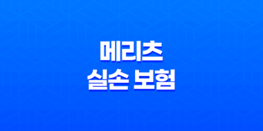 메리츠 실손 보험 - 2025년 최신 정보와 청구 방법 완벽 분석 31