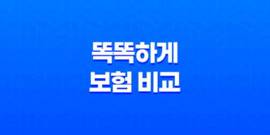 2025년 똑똑하게 보험 비교하는 5가지 핵심 방법 27