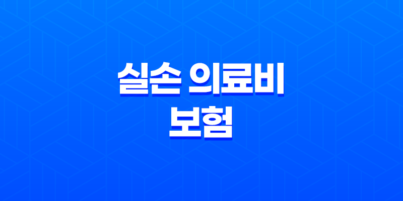 2025년 실손 의료비 보험 - 가입 전 꼭 알아야 할 10가지 핵심 정보 - 실비보험 비교, 추천, 보장 범위, 자기부담금 7