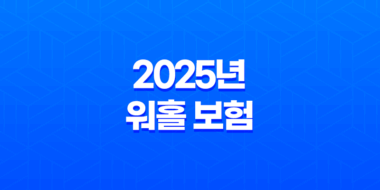 2025년 워홀 보험, 완벽 가이드 - 종류, 가격, 혜택, 가입, 연장, 해지, 그리고 디시 후기까지! 39