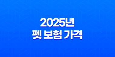 2025년 펫 보험 가격 심층 분석 4가지 핵심 27